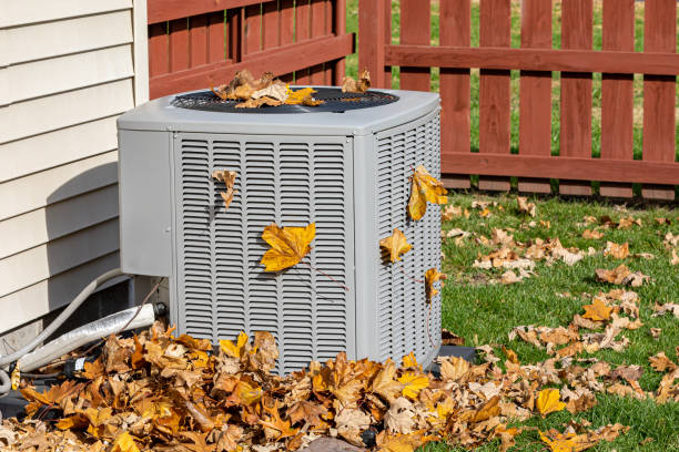 Best Affordable HVAC Services  in Buena Vista, CO